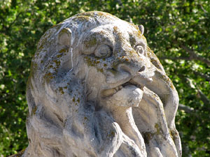 El Lle&oacute; del Mercat