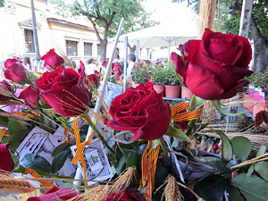 Sant Jordi 2016 a Girona