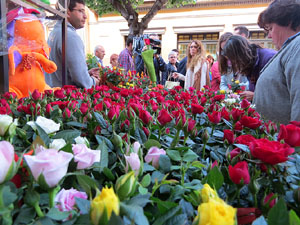 Sant Jordi 2016 a Girona