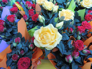 Sant Jordi 2016 a Girona