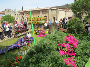 Temps de Flors 2016. Diversos espais del Passeig Arqueològic