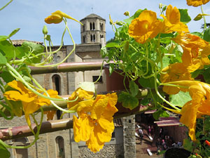 Temps de Flors 2016. Diversos espais del Passeig Arqueològic