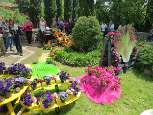 Temps de Flors 2016. Diversos espais del Passeig Arqueològic