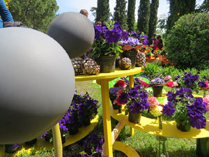 Temps de Flors 2016. Diversos espais del Passeig Arqueològic