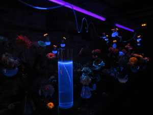 Temps de Flors 2016. La Casa de Lle&oacute; Avinay