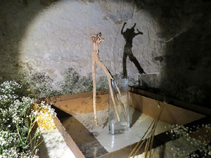 Temps de Flors 2016. La Casa de Lle&oacute; Avinay