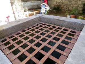 Temps de Flors 2016. Casa Boadas - Formiga al carrer dels Alemanys