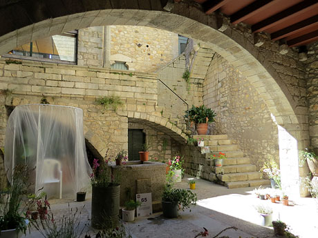 Temps de Flors 2016. Casa Boadas - Formiga al carrer dels Alemanys