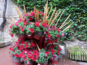 Temps de Flors 2016. Centre Bonastruc &ccedil;a Porta