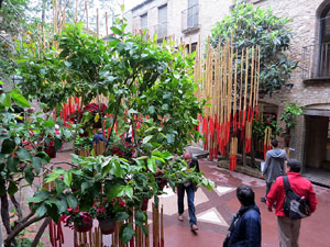 Temps de Flors 2016. Centre Bonastruc &ccedil;a Porta