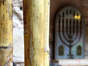 Temps de Flors 2016. Centre Bonastruc &ccedil;a Porta