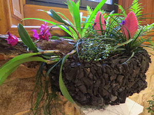 Temps de Flors 2016. Muntatges i instal&middot;lacions al Palau de Caramany