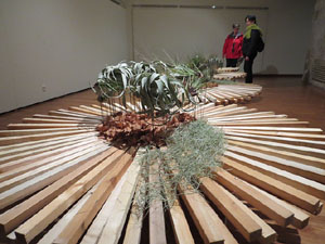 Temps de Flors 2016. Muntatges i instal&middot;lacions al Palau de Caramany