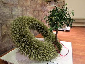 Temps de Flors 2016. Muntatges i instal&middot;lacions al Palau de Caramany