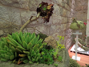 Temps de Flors 2016. Muntatges i instal&middot;lacions al Palau de Caramany