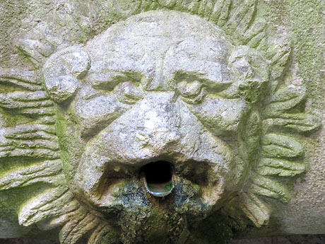 Temps de Flors 2016. El Palau de Caramany