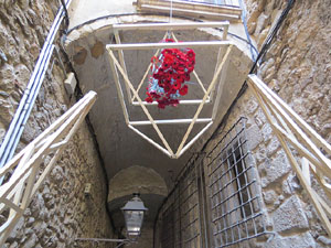 Temps de Flors 2016. El carrer de la For&ccedil;a: patis i carrers