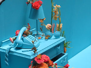 Temps de Flors 2016. El Casino de Girona al carrer Albereda