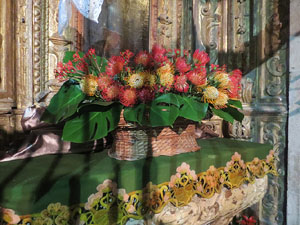 Temps de Flors 2016. Decoració floral del claustre de la Catedral