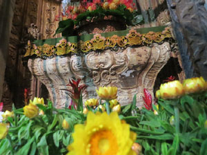 Temps de Flors 2016. Decoració floral del claustre de la Catedral