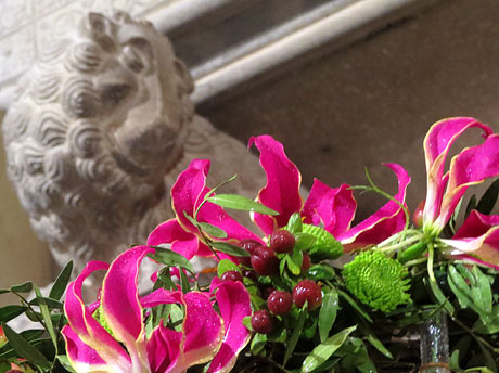 Temps de Flors 2016. Decoració floral del claustre de la Catedral