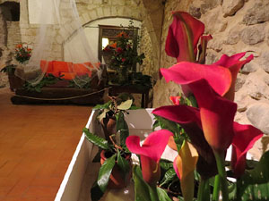 Temps de Flors 2016. Casa Laporta - C&uacute;ndaro