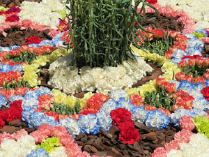 Temps de Flors 2016. Muntatges i instal&middot;lacions als Jardins del doctor Figueras