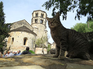 Temps de Flors 2016. Muntatges i instal&middot;lacions als Jardins del doctor Figueras