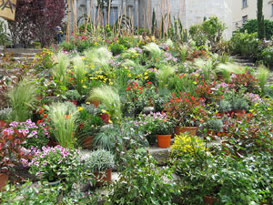 Temps de Flors 2016. Escales est i nord de l'esgl&eacute;sia de Sant Feliu
