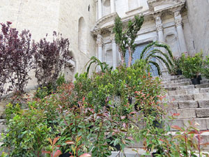 Temps de Flors 2016. Escales est i nord de l'esgl&eacute;sia de Sant Feliu