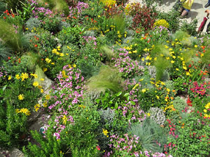 Temps de Flors 2016. Escales est i nord de l'esgl&eacute;sia de Sant Feliu