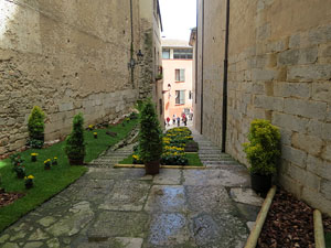 Temps de Flors 2016. Escales est i nord de l'esgl&eacute;sia de Sant Feliu