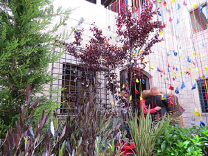 Temps de Flors 2016. Fontana d'Or - Caixaf&ograve;rum