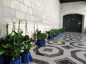 Temps de Flors 2016. Fontana d'Or - Caixaf&ograve;rum