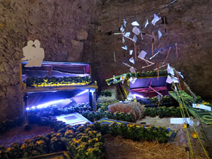 Temps de Flors 2016. Museu d'Hist&ograve;ria de Girona: espais de la Carbonera, la Cisterna, la Terrassa del Museu i l'Assecador