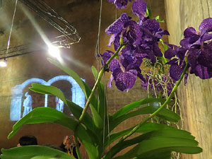 Temps de Flors 2016. Museu d'Hist&ograve;ria de Girona: espais de la Carbonera, la Cisterna, la Terrassa del Museu i l'Assecador