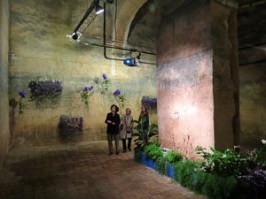 Temps de Flors 2016. Museu d'Hist&ograve;ria de Girona: espais de la Carbonera, la Cisterna, la Terrassa del Museu i l'Assecador