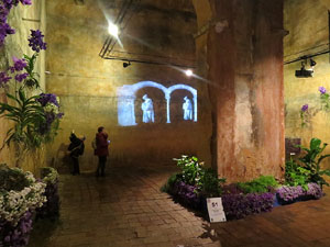 Temps de Flors 2016. Museu d'Hist&ograve;ria de Girona: espais de la Carbonera, la Cisterna, la Terrassa del Museu i l'Assecador
