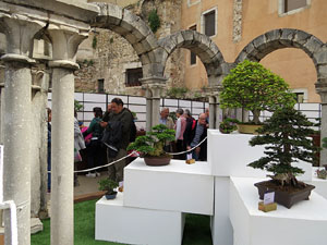 Temps de Flors 2016. Museu d'Hist&ograve;ria de Girona: espais de la Carbonera, la Cisterna, la Terrassa del Museu i l'Assecador