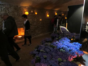 Temps de Flors 2016. Antic Hospital dels Capellans