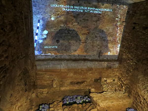 Temps de Flors 2016. Antic Hospital dels Capellans