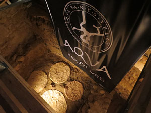 Temps de Flors 2016. Antic Hospital dels Capellans