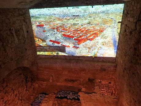 Temps de Flors 2016. Antic Hospital dels Capellans