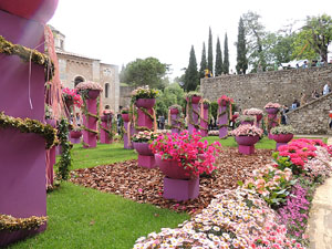 Temps de Flors 2016. Muntatges i instal&middot;lacions a la pla&ccedil;a dels Jurats