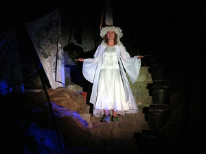 Temps de Flors 2016. Espectacle Lymbus, a càrrec de Comediants, a les escales de Sant Feliu