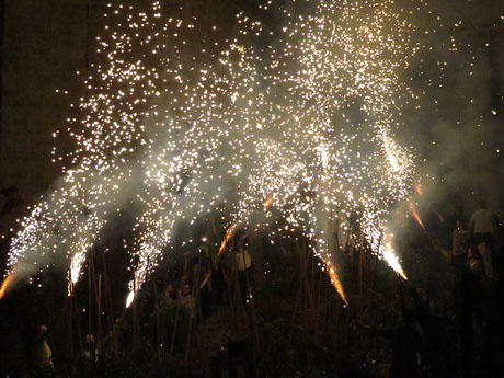 Temps de Flors 2016. Espectacle Lymbus, a càrrec de Comediants, a les escales de Sant Feliu