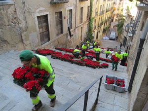 Temps de Flors 2016. Making of de l'esdeveniment