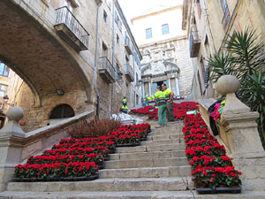 Temps de Flors 2016. Making of de l'esdeveniment