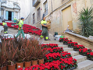 Temps de Flors 2016. Making of de l'esdeveniment
