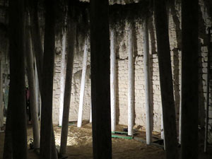 Temps de Flors 2016. Making of de l'esdeveniment